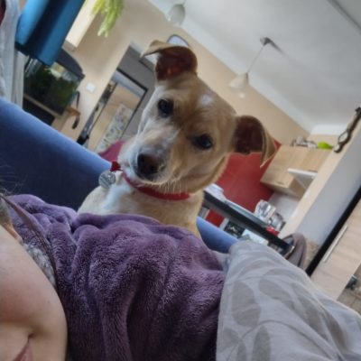 jadzia do adopcji (4)